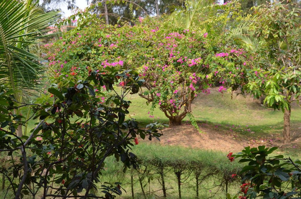 Mui Ne Village Resort Ap Long Son Bagian luar foto